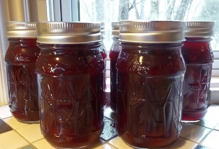 Wild Muscadine Jelly – Nine Recipes