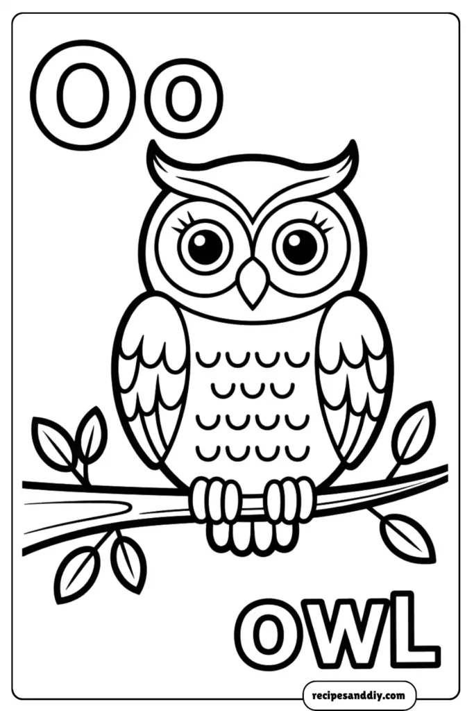 O is for Owl